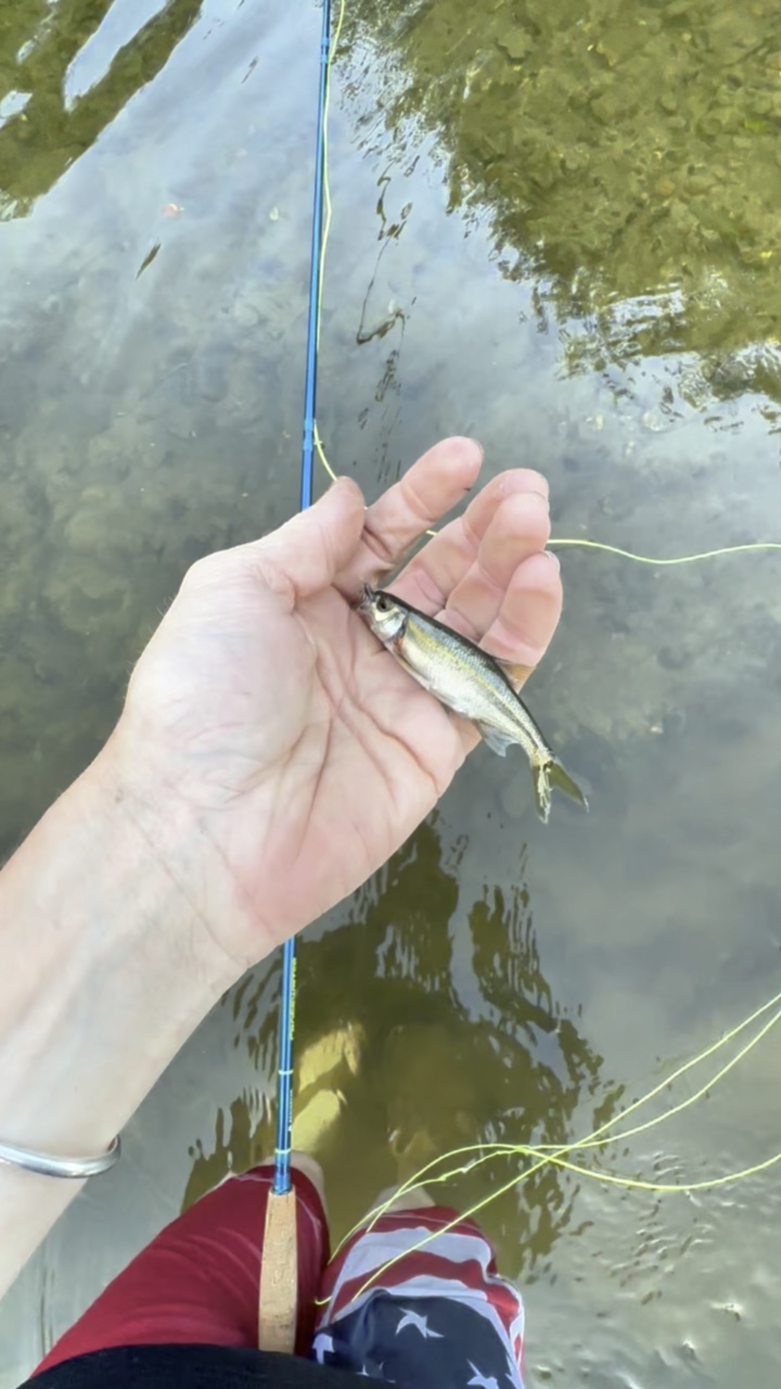 Catching a feesh