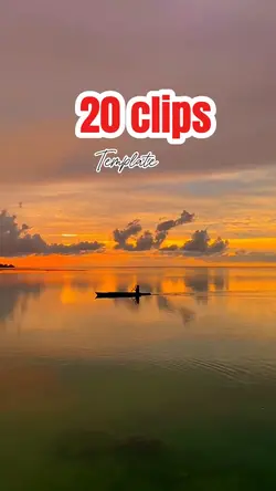 20 clips
