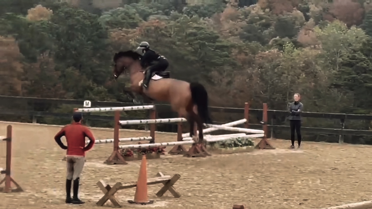 Trainers horse! 