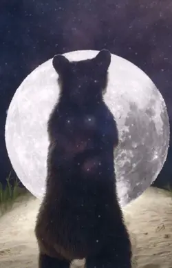 The  moon
