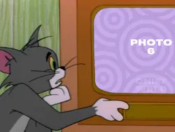 Tom TV Meme