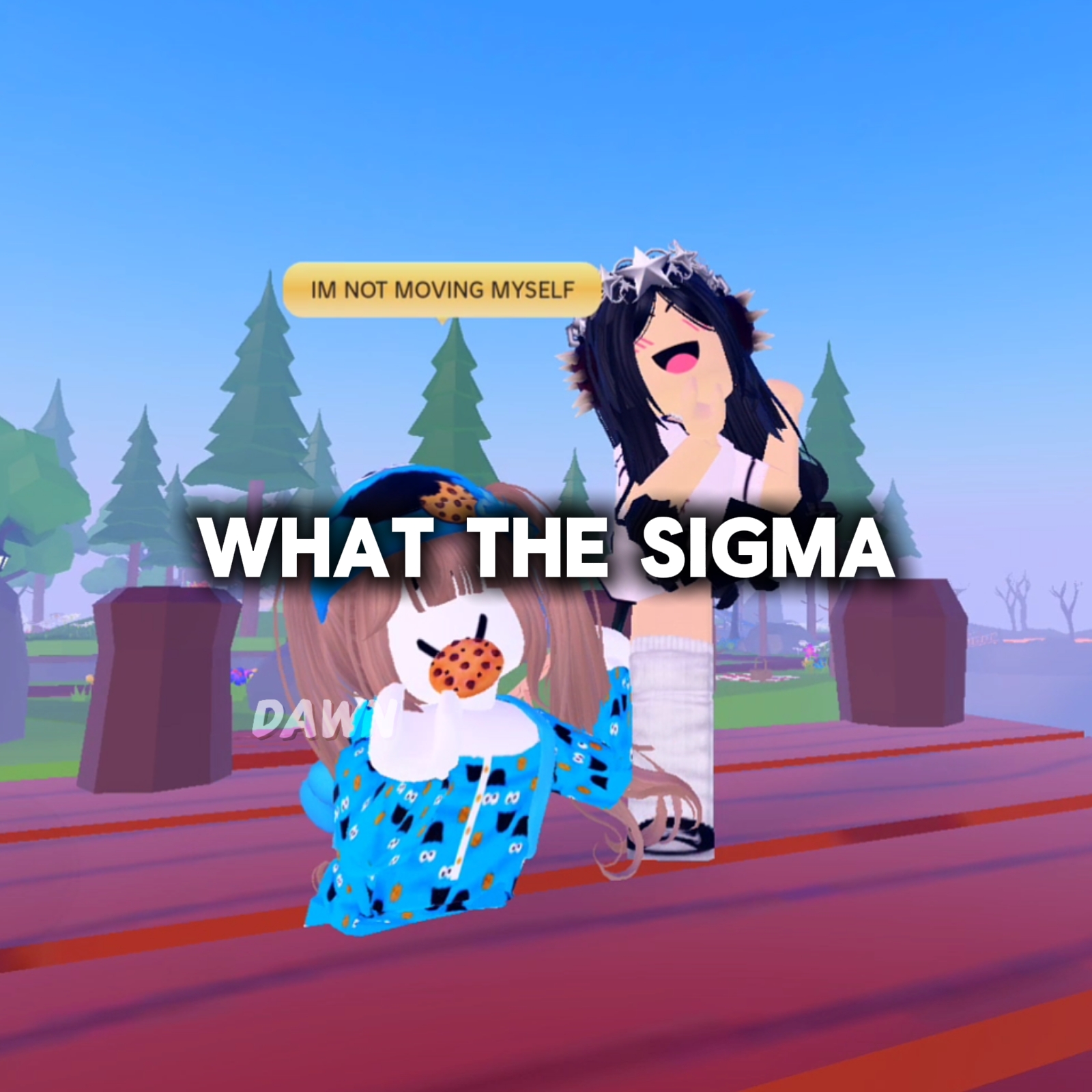 what the sigma 