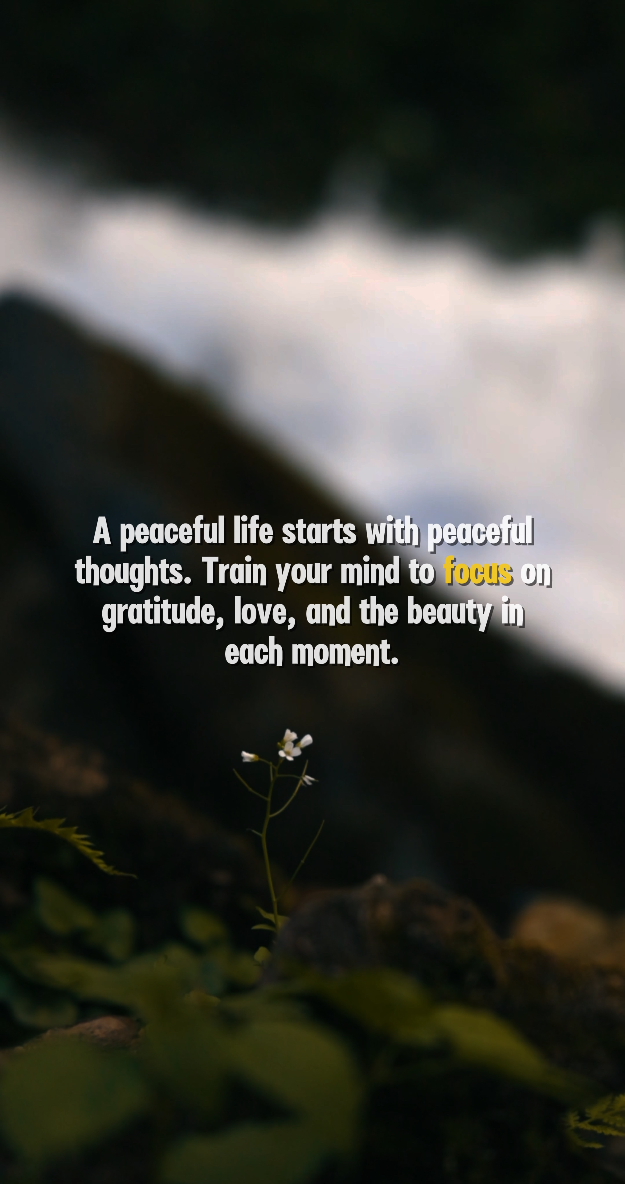 Peaceful Thoughts 🌱