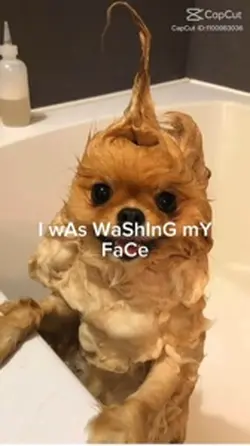 Send to ur mom