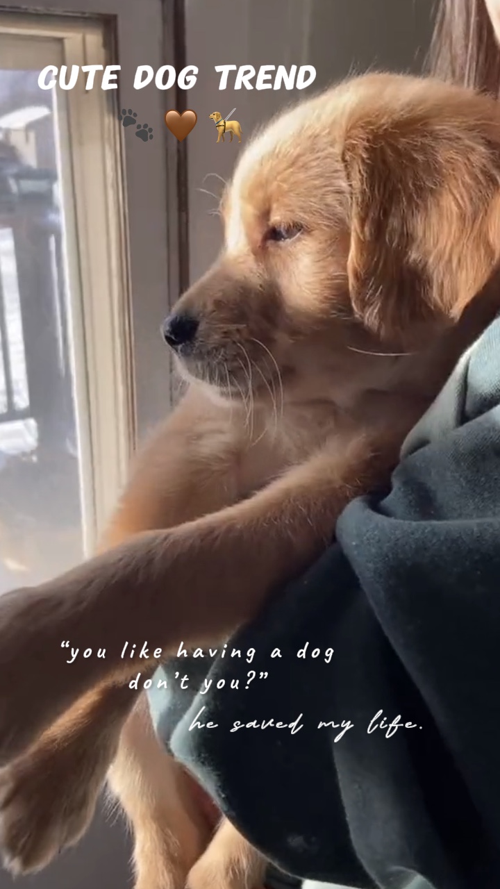Er hat mir das Leben gerettet. 🐾