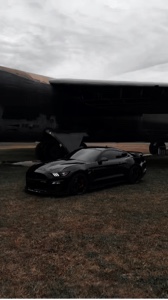 CAR | EDIT 🐕‍🦺