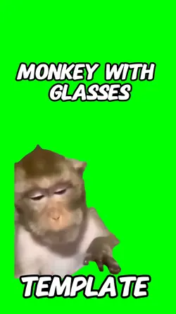 Monkey with glasses