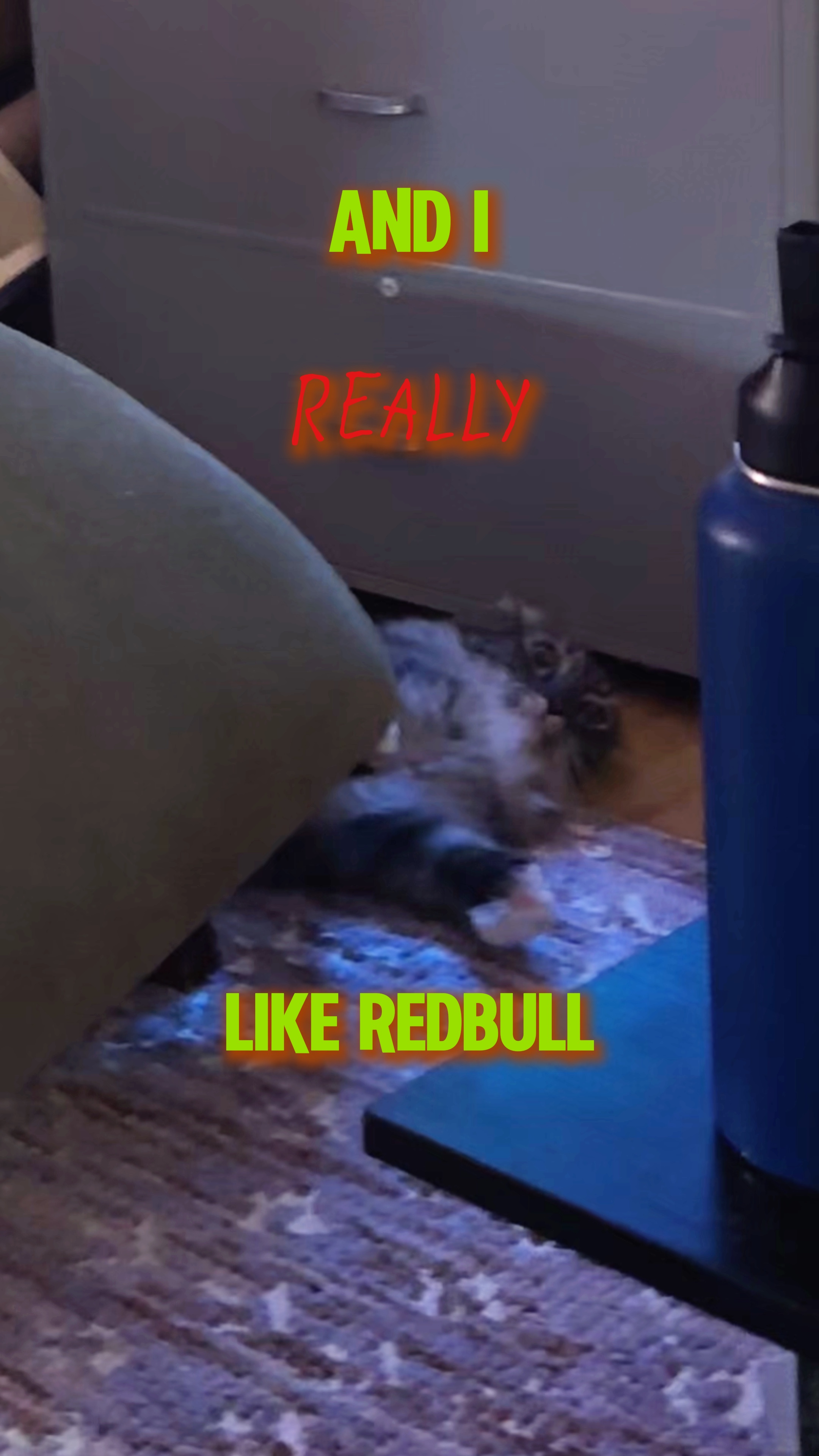déjà eu un redbull? 