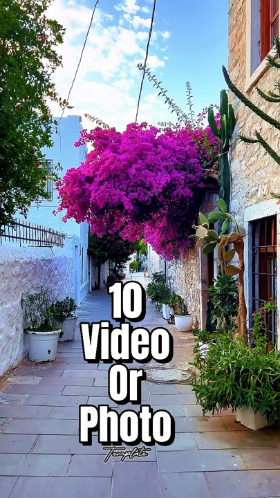 10 Video or Photo