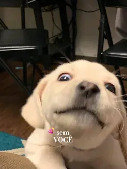 sem você 💞