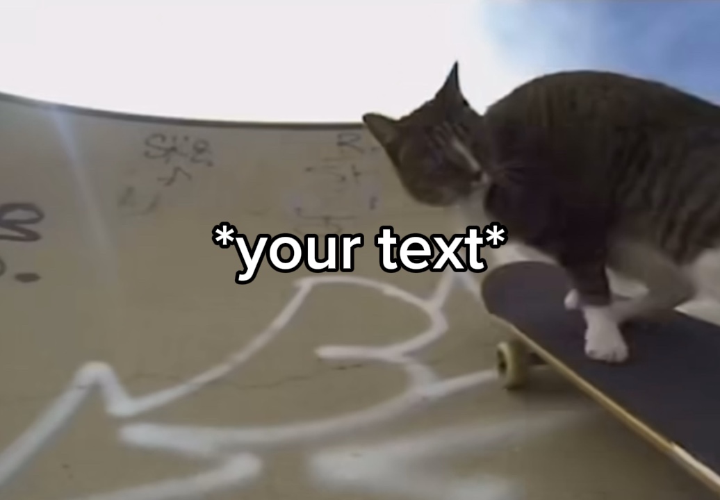 Katze reitet Meme