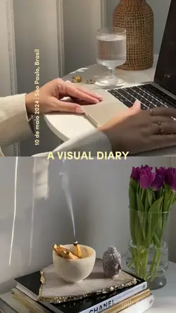 Um diário visual