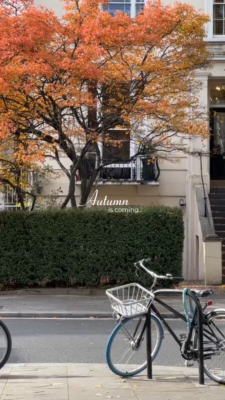 Autumn is coming