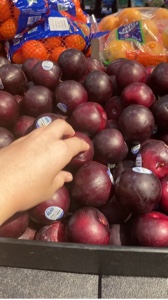 PLUMS