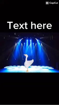 Dancing duck