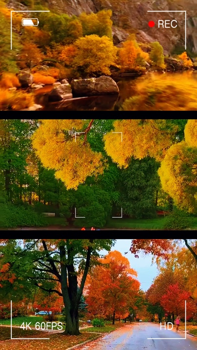 New Templates 