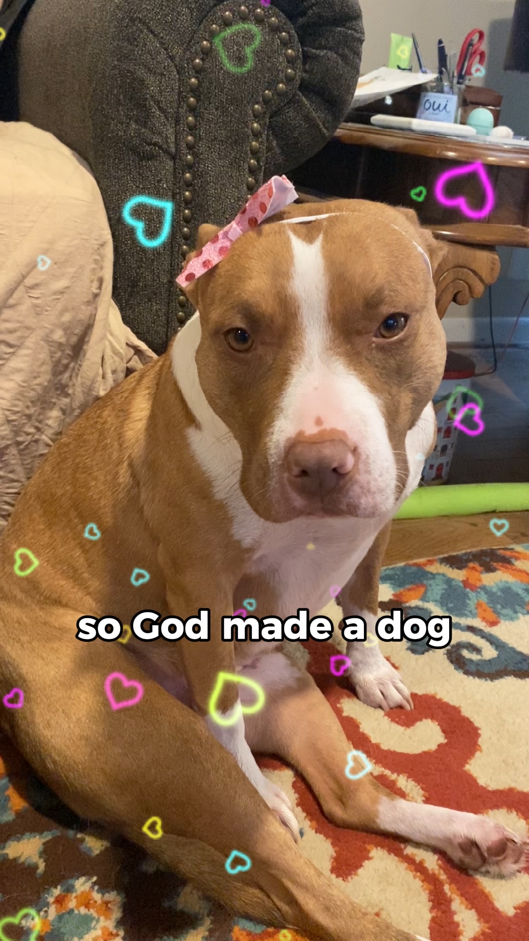 GOD Made A DOG 🐶🥺