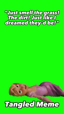 Tangled Meme