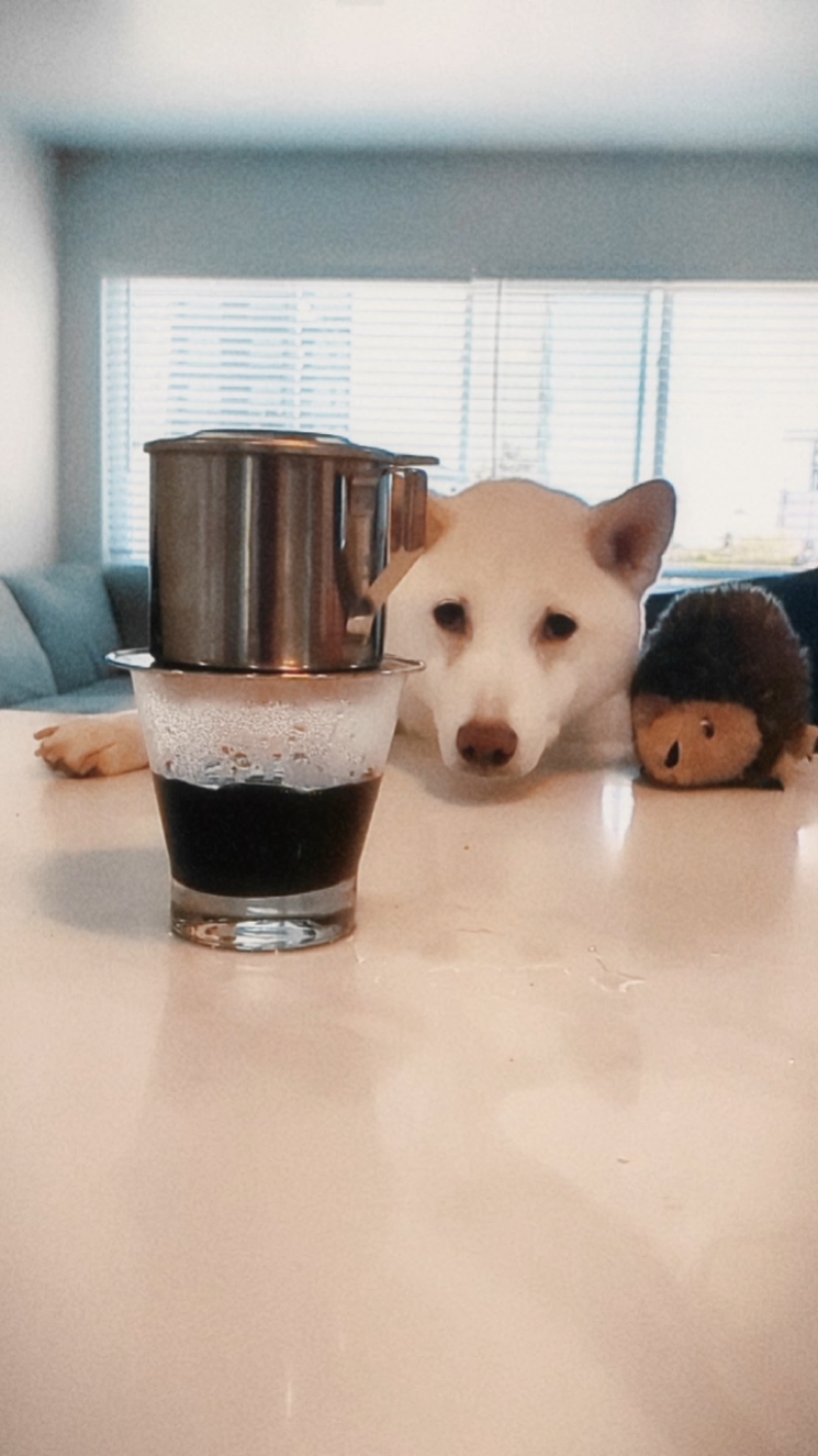 Mañana de café 