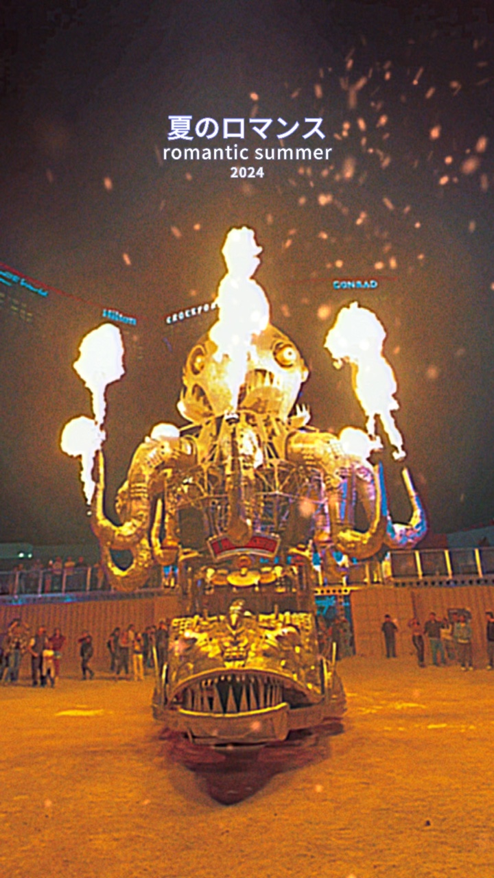 vlog EDM Festival