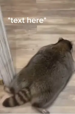 Wow