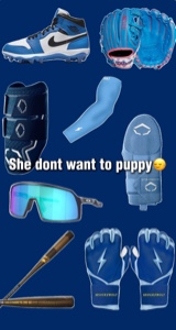 Big dog