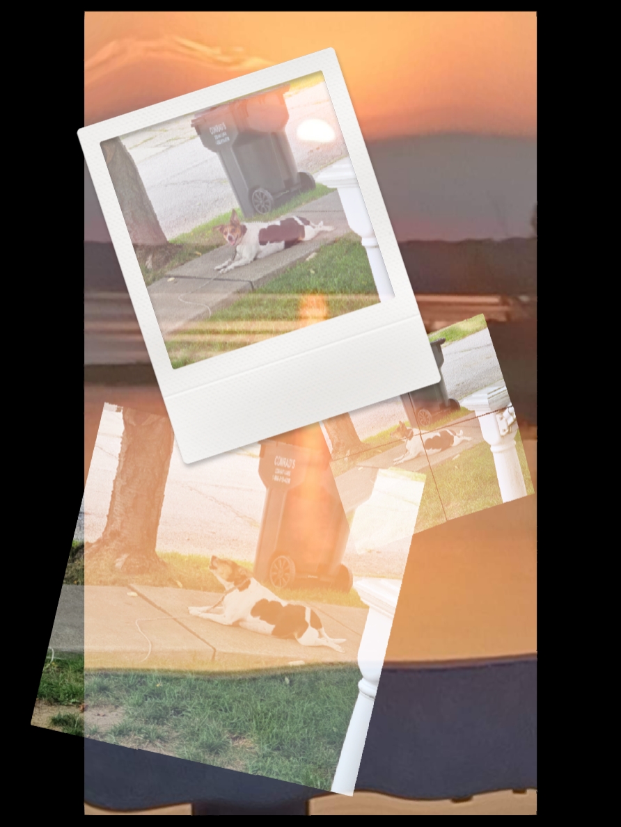 Transição Fotográfica 