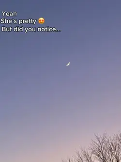 Did you notic