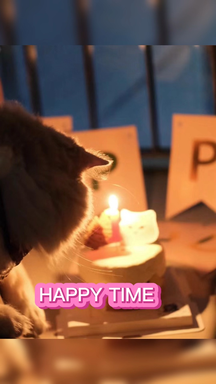 Aniversário de animais 