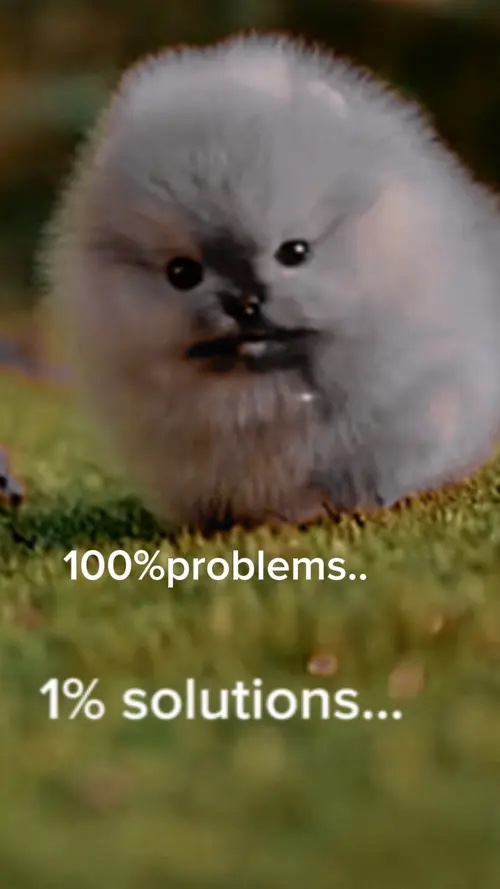 Süßer Hund 