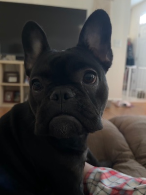 Kiko 