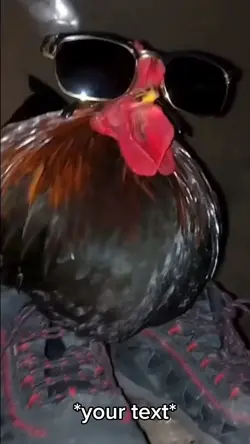 chicken drip