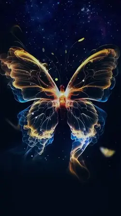 Butterfly 🏆