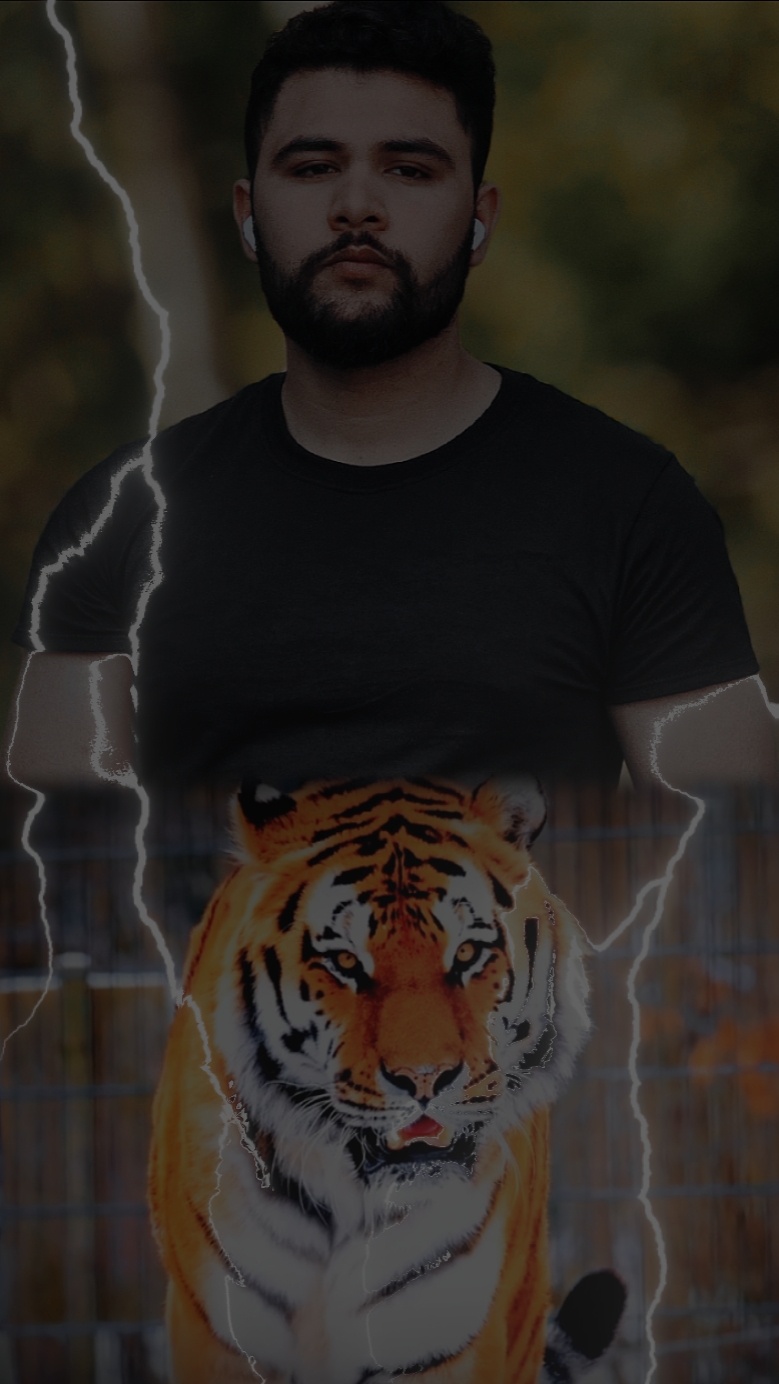 Harimau 