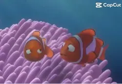 Entire movie lol