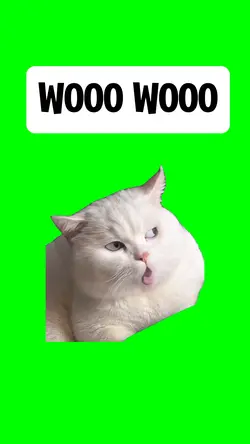 WOOO WOOO