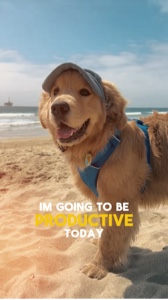 Vibrações Da Vida De Cachorro