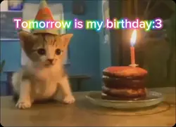 Tomorrow...
