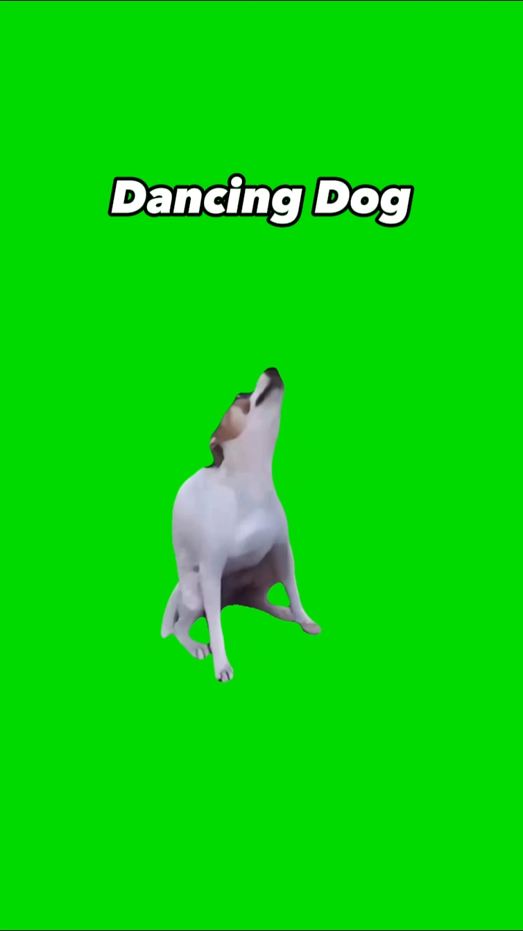 Dancing Dog
