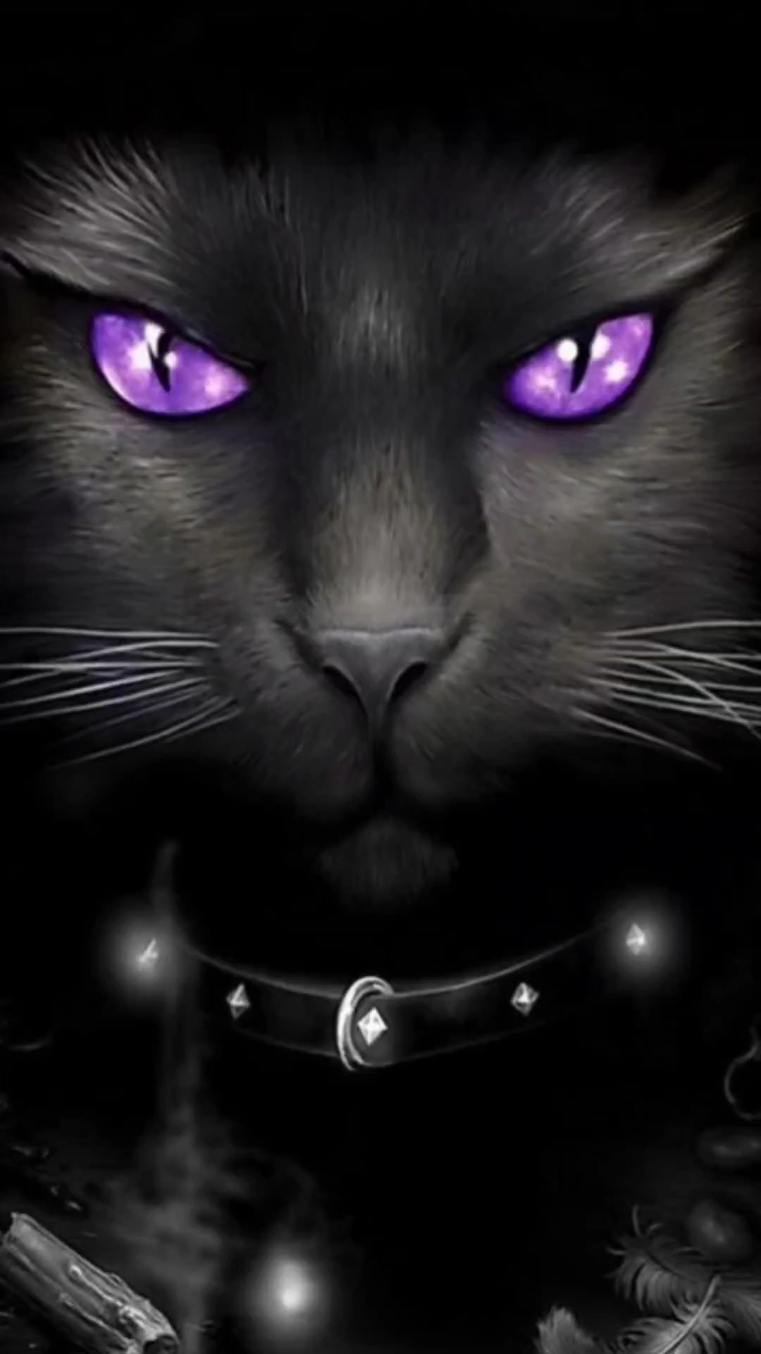 Chat maléfique