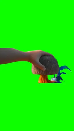Moana Chicken