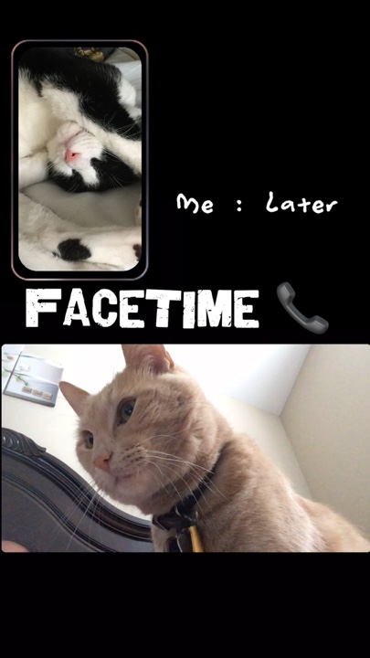 FaceTime call