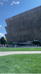 UN DÍA EN EL MUSEO
