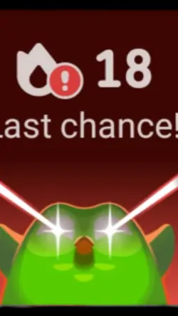 duo...DUO NO-