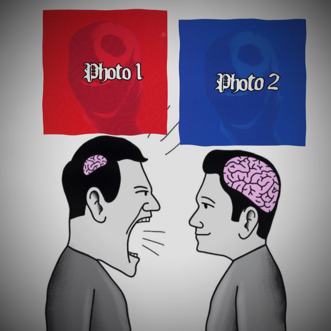 Petit vs grand cerveau