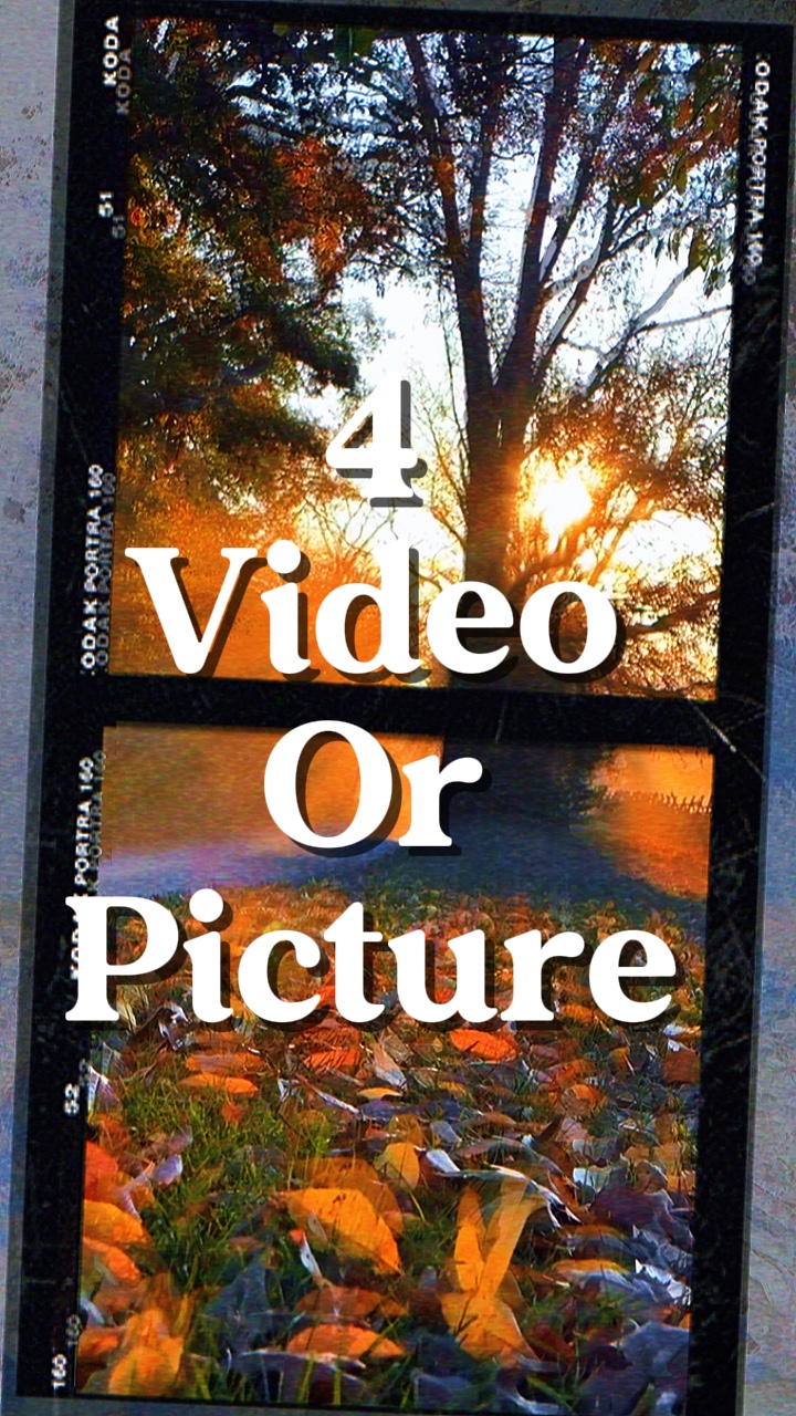 4 video o imagen 