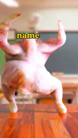 Chicken meme