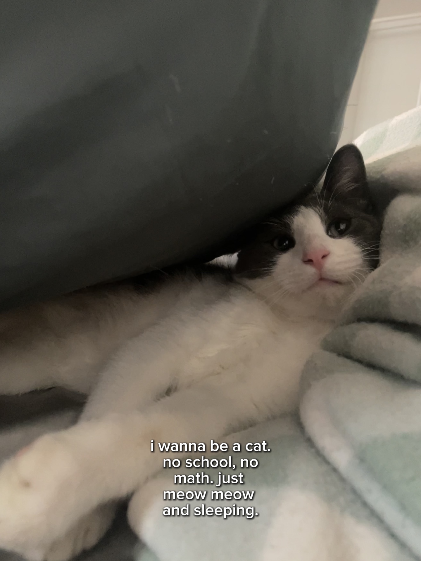 내 아기