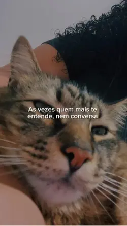 Trend de pets