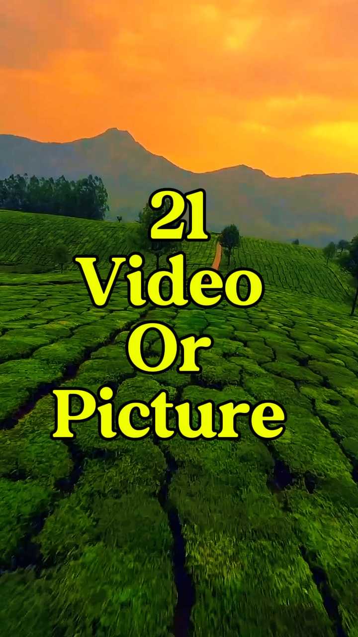 21 video or picture 